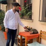 Mehmet