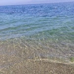 Halil