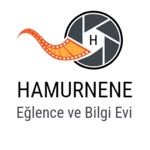 Hamur