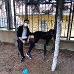 Yasin