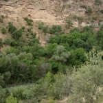 Çetin