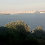 Nilgun