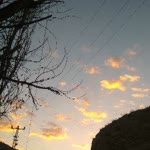 Gülfem