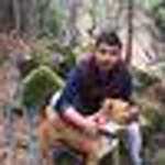 Umut