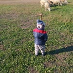 Yusuf