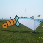 Turgay