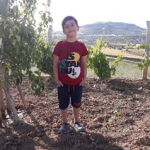 Ertan