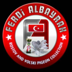 Ferdi