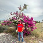 Uğur