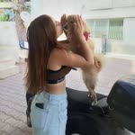 Merve