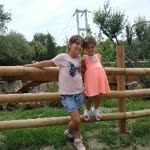 Ayşe