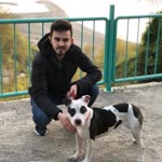 Mustafa