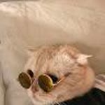 Selin