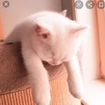 Burak