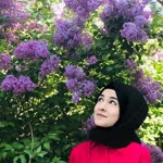Melek