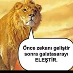 Kuzey