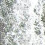 Arif