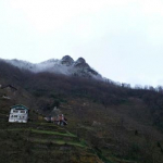 Nuray