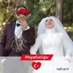 Şule