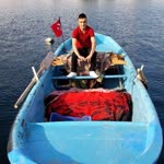 Doğan