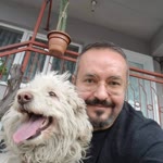 Barış