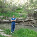Süleyman