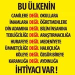 Tuğrul