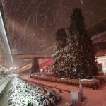 Yasemin