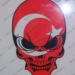 Şahin