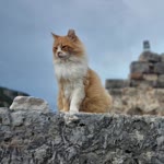 Erşan