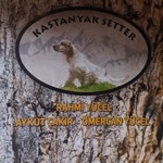 Kastanyak