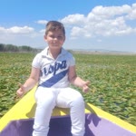 Murat
