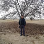 Abidin
