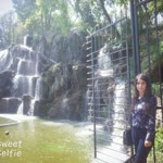 Elif