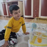 Sinem