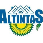 Altıntaş