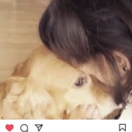 Sibel