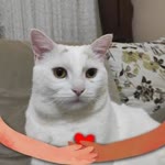 Ebru