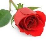 Osman