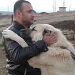 Emrah