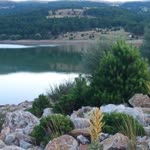 Servet
