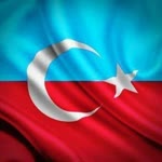 Ayşegül