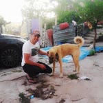 Habip