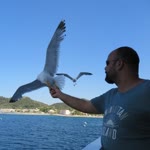 Ümit