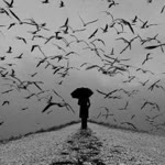 Elif