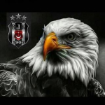 Salih