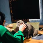 Tuğçe