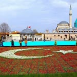 Salih
