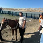 Turgut