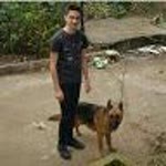 Arif